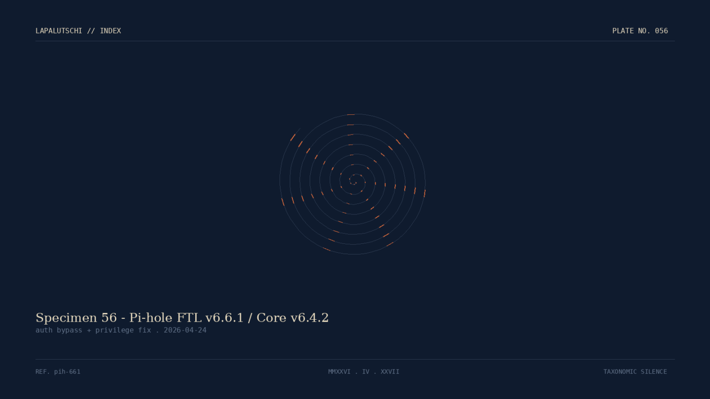 PI-HOLE-HAMMER! v6.6.1 patcht Login-Bypass – SOFORT updaten oder Werbung gewinnt!