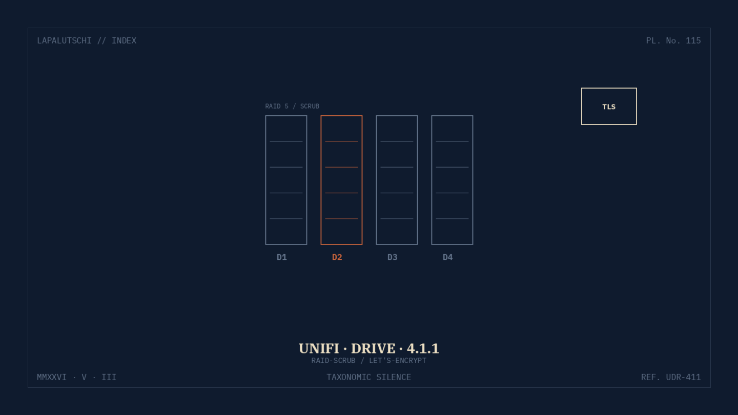 UNIFI-HAMMER! Drive 4.1.1 bringt JETZT RAID-Scrub und Auto-TLS – so härtest du dein NAS in 5 MINUTEN!