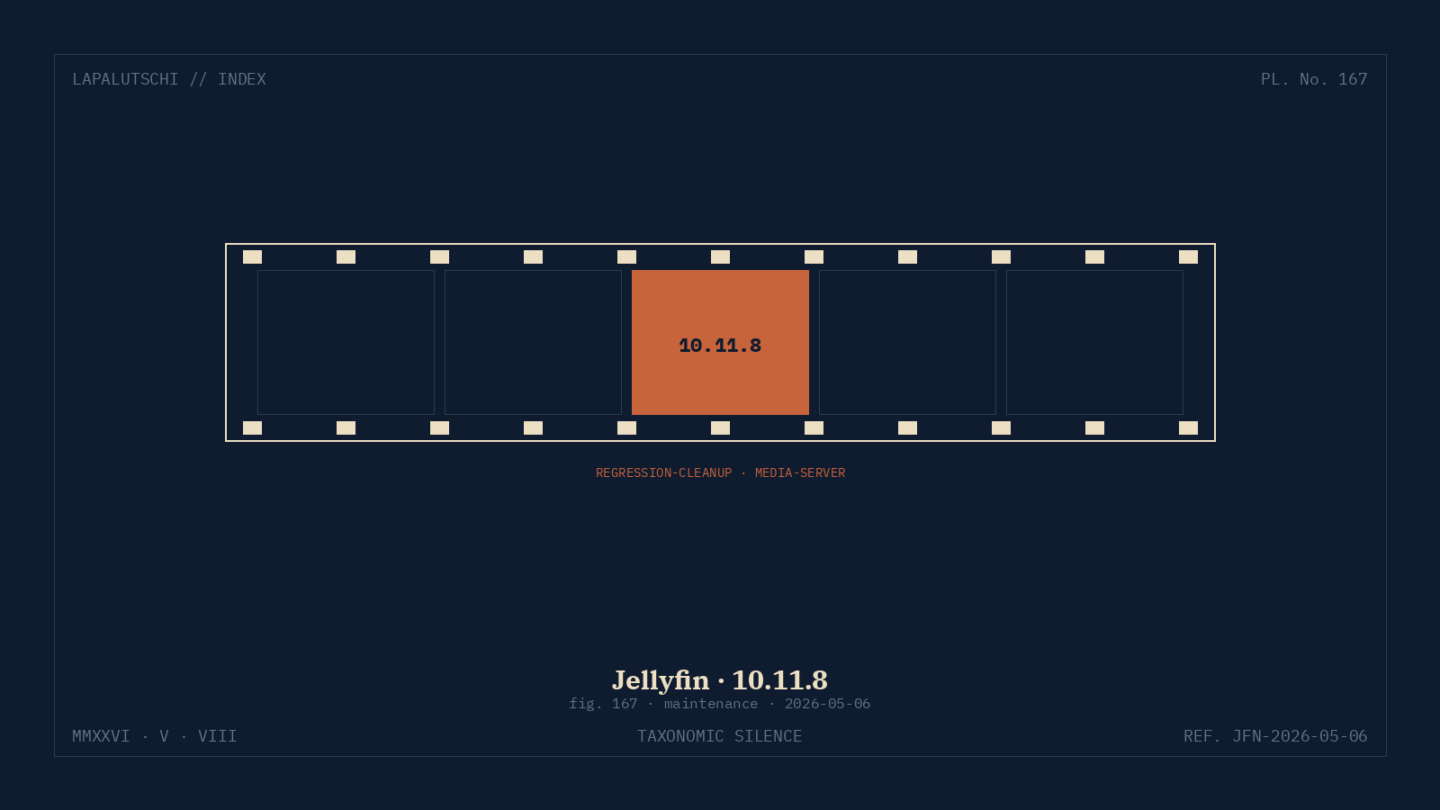 JELLYFIN-HAMMER! 10.11.8 fegt JETZT die Regressions weg — DEIN Mediaserver läuft endlich rund!