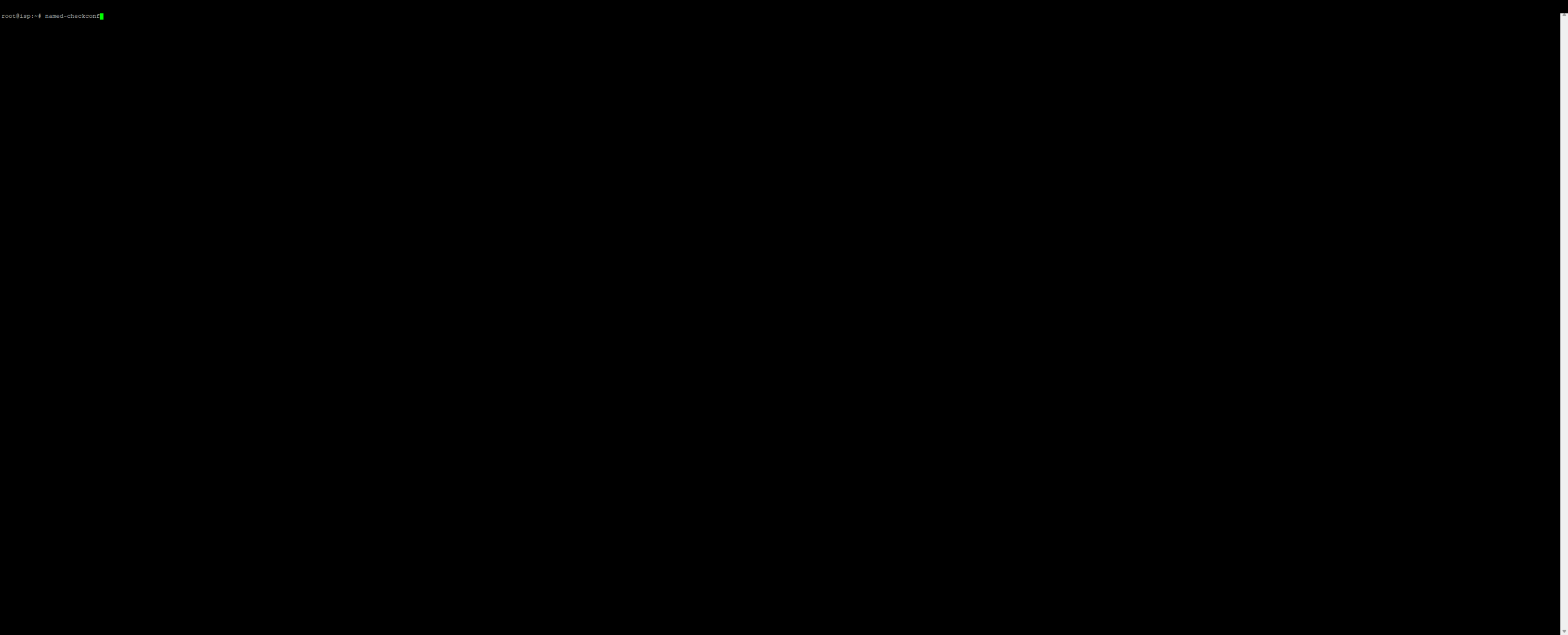 Terminal mit dem Befehl named-checkconf ohne Fehlerausgabe