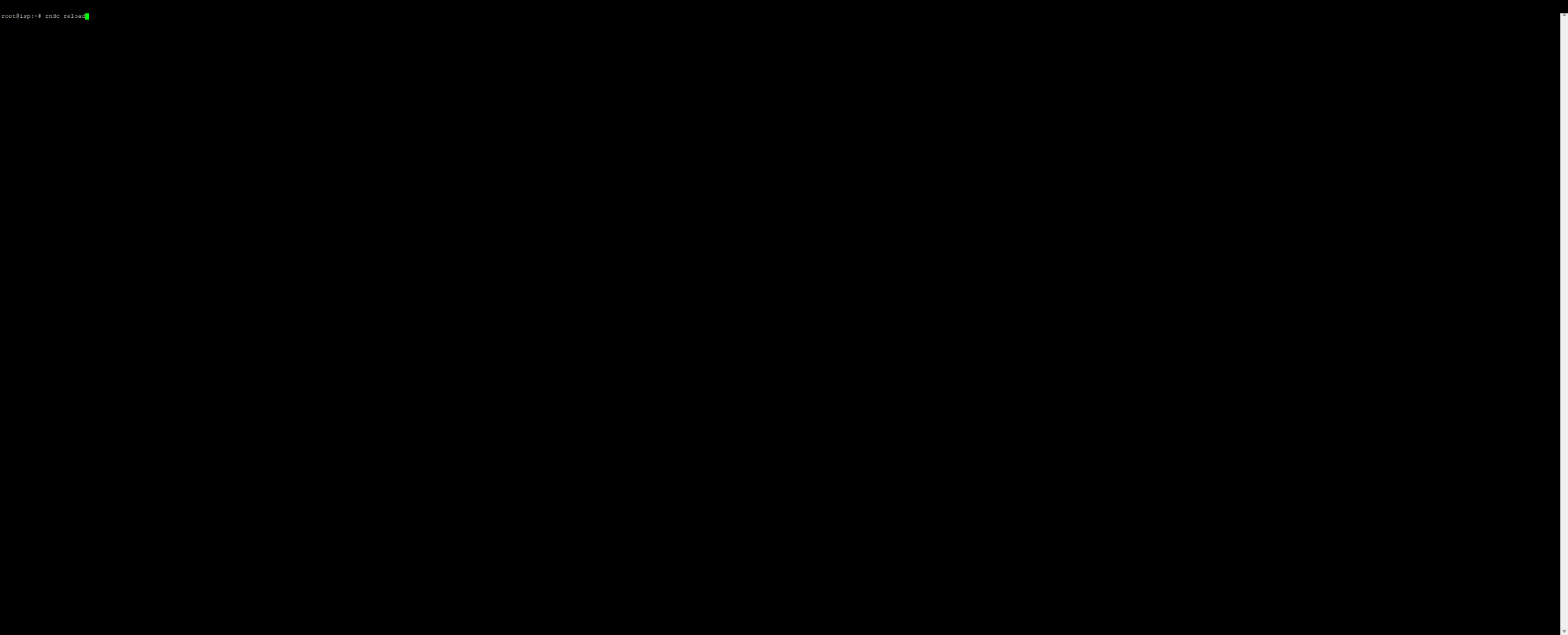 Terminal mit dem Befehl rndc reload zum Neuladen von BIND