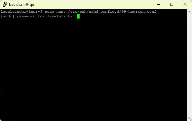 Terminal: sudo fragt mit [sudo] password for nach dem Passwort des neuen Benutzers
