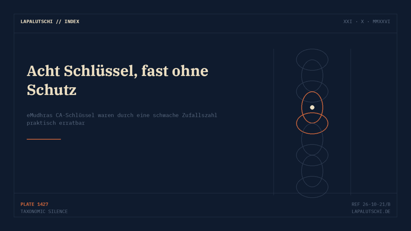 PANIK HINTER DEN KULISSEN! Acht geheime Schlüssel waren praktisch erratbar — Browser und Go schlagen Notalarm